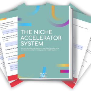 The Niche Accelerator System (printable + fillable)